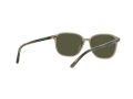 Ray-Ban Leonard Zonnebril RB 2193 6635/5C
