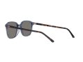 Ray-Ban Leonard Zonnebril RB 2193 6638/O4