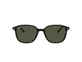 Ray-Ban Leonard Zonnebril RB 2193 901/31