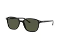 Ray-Ban Leonard Zonnebril RB 2193 901/31
