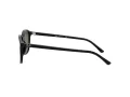 Ray-Ban Leonard Zonnebril RB 2193 901/31