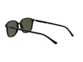 Ray-Ban Leonard Zonnebril RB 2193 901/31