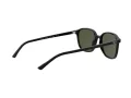 Ray-Ban Leonard Zonnebril RB 2193 901/31