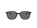 Ray-Ban Leonard Zonnebril RB 2193 901/58