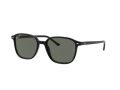 Ray-Ban Leonard Zonnebril RB 2193 901/58