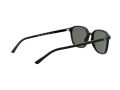 Ray-Ban Leonard Zonnebril RB 2193 901/58