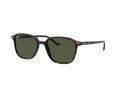 Ray-Ban Leonard Zonnebril RB 2193 902/31