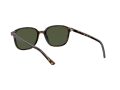 Ray-Ban Leonard Zonnebril RB 2193 902/31