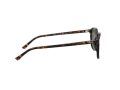 Ray-Ban Leonard Zonnebril RB 2193 902/31