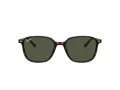 Ray-Ban Leonard Zonnebril RB 2193 902/31