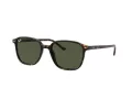 Ray-Ban Leonard Zonnebril RB 2193 902/31