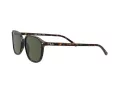 Ray-Ban Leonard Zonnebril RB 2193 902/31
