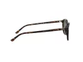 Ray-Ban Leonard Zonnebril RB 2193 902/31