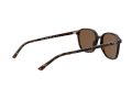 Ray-Ban Leonard Zonnebril RB 2193 902/57