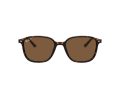 Ray-Ban Leonard Zonnebril RB 2193 902/57