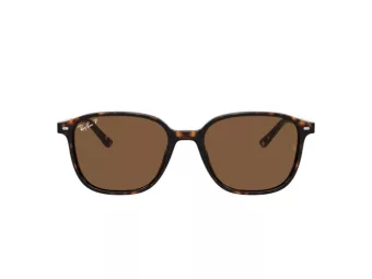 Ray-Ban Leonard Zonnebril RB 2193 902/57