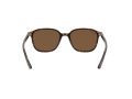 Ray-Ban Leonard Zonnebril RB 2193 902/57