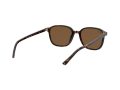 Ray-Ban Leonard Zonnebril RB 2193 902/57