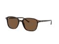 Ray-Ban Leonard Zonnebril RB 2193 902/57