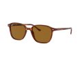 Ray-Ban Leonard RB 2193 954/33 51 Zonnebril