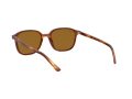 Ray-Ban Leonard RB 2193 954/33 51 Zonnebril