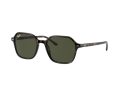 Ray-Ban John Zonnebril RB 2194 902/31