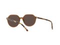 Ray-Ban Thalia Zonnebril RB 2195 6636/93
