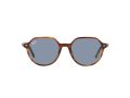 Ray-Ban Thalia Zonnebril RB 2195 954/62