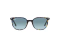 Ray-Ban Elliot Zonnebril RB 2197 13563M