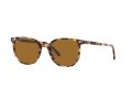 Ray-Ban Elliot Zonnebril RB 2197 1357/57