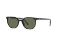 Ray-Ban Elliot Zonnebril RB 2197 901/31