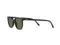Ray-Ban Elliot Zonnebril RB 2197 901/31