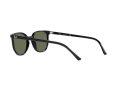 Ray-Ban Elliot Zonnebril RB 2197 901/31