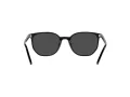 Ray-Ban Elliot Zonnebril RB 2197 901/48