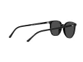 Ray-Ban Elliot Zonnebril RB 2197 901/48