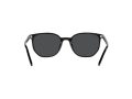 Ray-Ban Elliot Zonnebril RB 2197 901/48