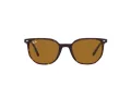 Ray-Ban Elliot Zonnebril RB 2197 902/33