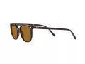 Ray-Ban Elliot Zonnebril RB 2197 902/33