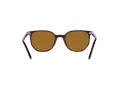 Ray-Ban Elliot Zonnebril RB 2197 902/33
