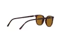 Ray-Ban Elliot Zonnebril RB 2197 902/33