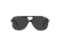 Ray-Ban Bill Zonnebril RB 2198 133348
