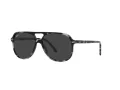 Ray-Ban Bill Zonnebril RB 2198 133348