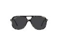 Ray-Ban Bill Zonnebril RB 2198 133348