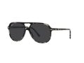 Ray-Ban Bill Zonnebril RB 2198 133348