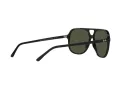 Ray-Ban Bill Zonnebril RB 2198 901/31