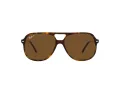 Ray-Ban Bill Zonnebril RB 2198 902/57