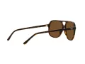 Ray-Ban Bill Zonnebril RB 2198 902/57