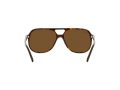 Ray-Ban Bill Zonnebril RB 2198 902/57