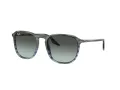 Ray-Ban Zonnebril RB 0RB2203 1391GK