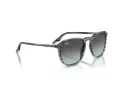 Ray-Ban Zonnebril RB 0RB2203 1391GK
